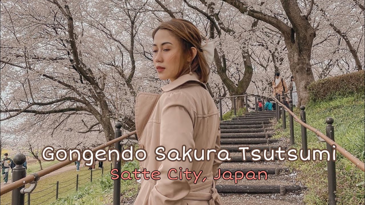 Gongendo Sakura Tsutsumi, Satte City Japan