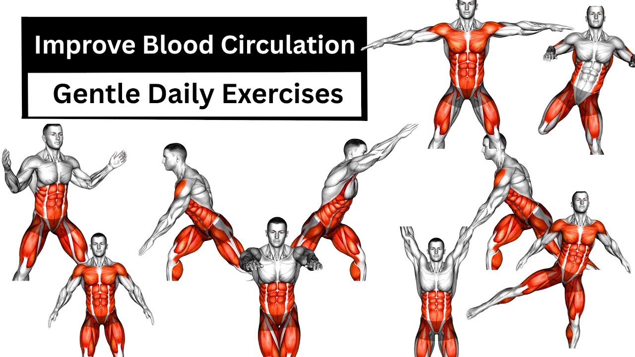 Improve Blood Circulation | Gentle Daily Exercises for Full Body Health