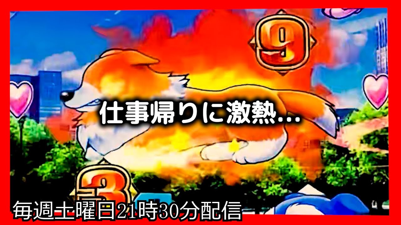 ラッキートリガーでお金を増やそうとしてみたら、とんでもない激熱がやってきました。【PAわんわんパラダイスCELEBRATION】【沖海5 パチンコ 海物語 ライブ ガチ践大海5!】#パーラーあげ実