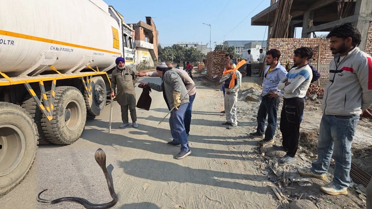 ट्रंक में घुसा सांप ड्राइवर के उड़े हो*श /// स्नेकमैन हरियाणा सतीश फफड़ाना 9255130130