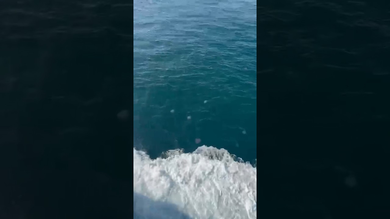 Cruise ride in Andaman sea in Thailand | Thai islands
