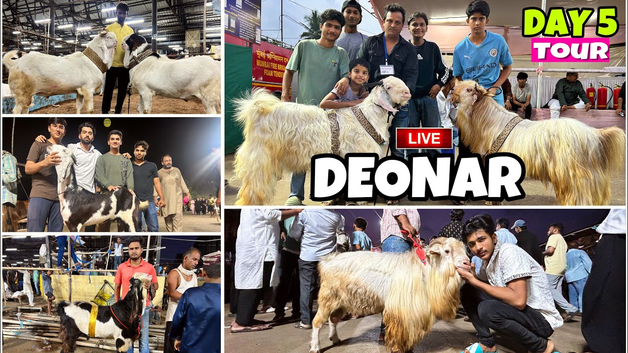 DEONAR BAKRA MANDI FULL TOUR 2025 , DAY 5 NIGHT UPDATE , SASTE BAKRO KE SAATH