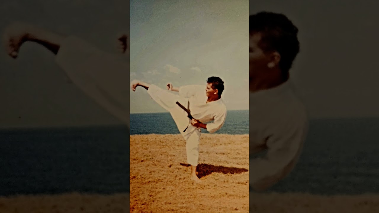 Karate Shotokan #shotokan #gishinfunakoshi #karatejapones #mixedmartialarts #emptyhands