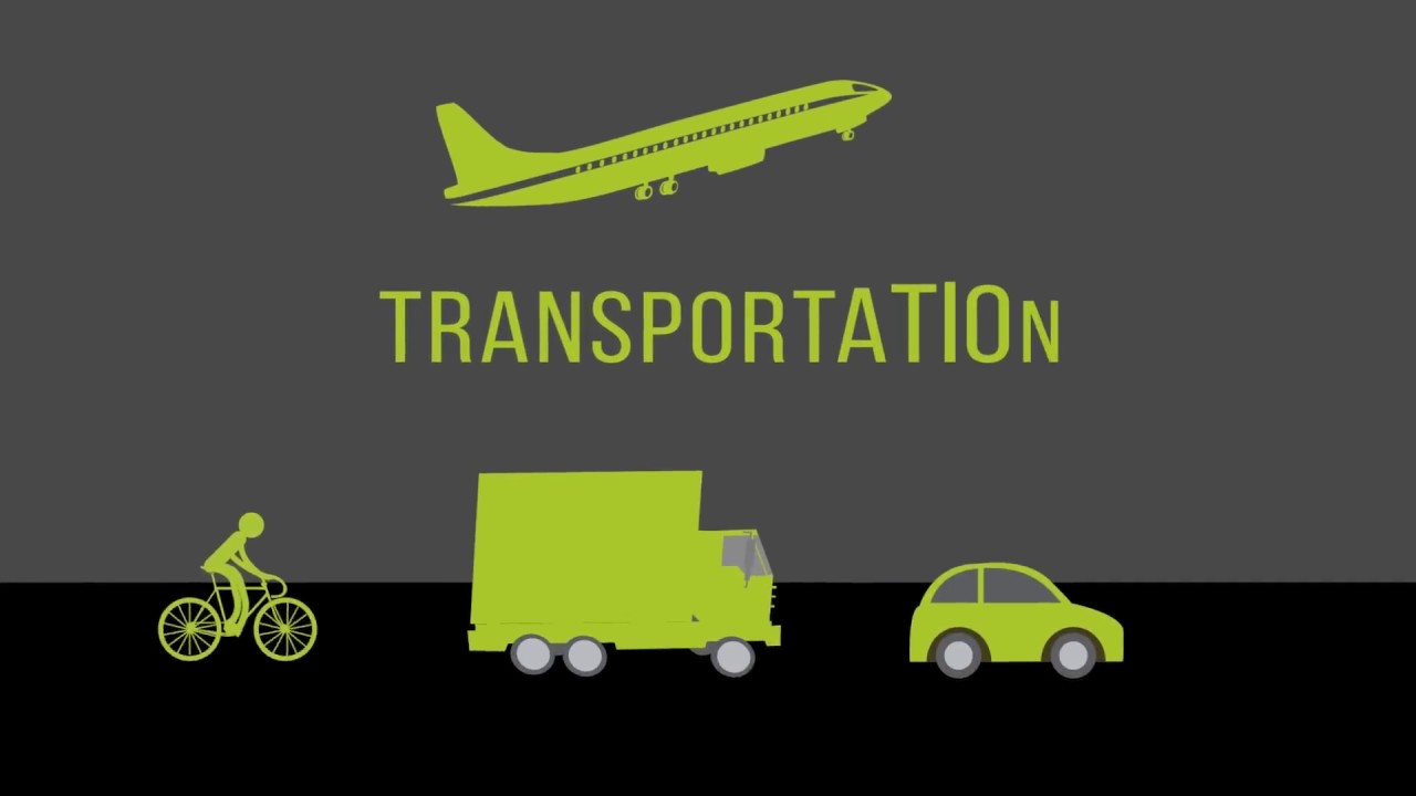 Транспорт 101