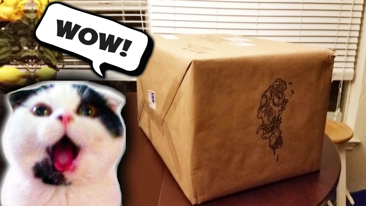 HOLY S*!)!! (((EPIC Unboxing!))) Real Life Perk Machine Replica