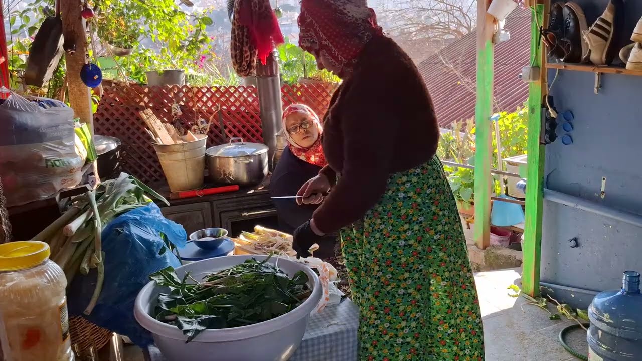 YILAN OTU TİRŞİK NİVÜK NÜNÜK‼️‼️‼️