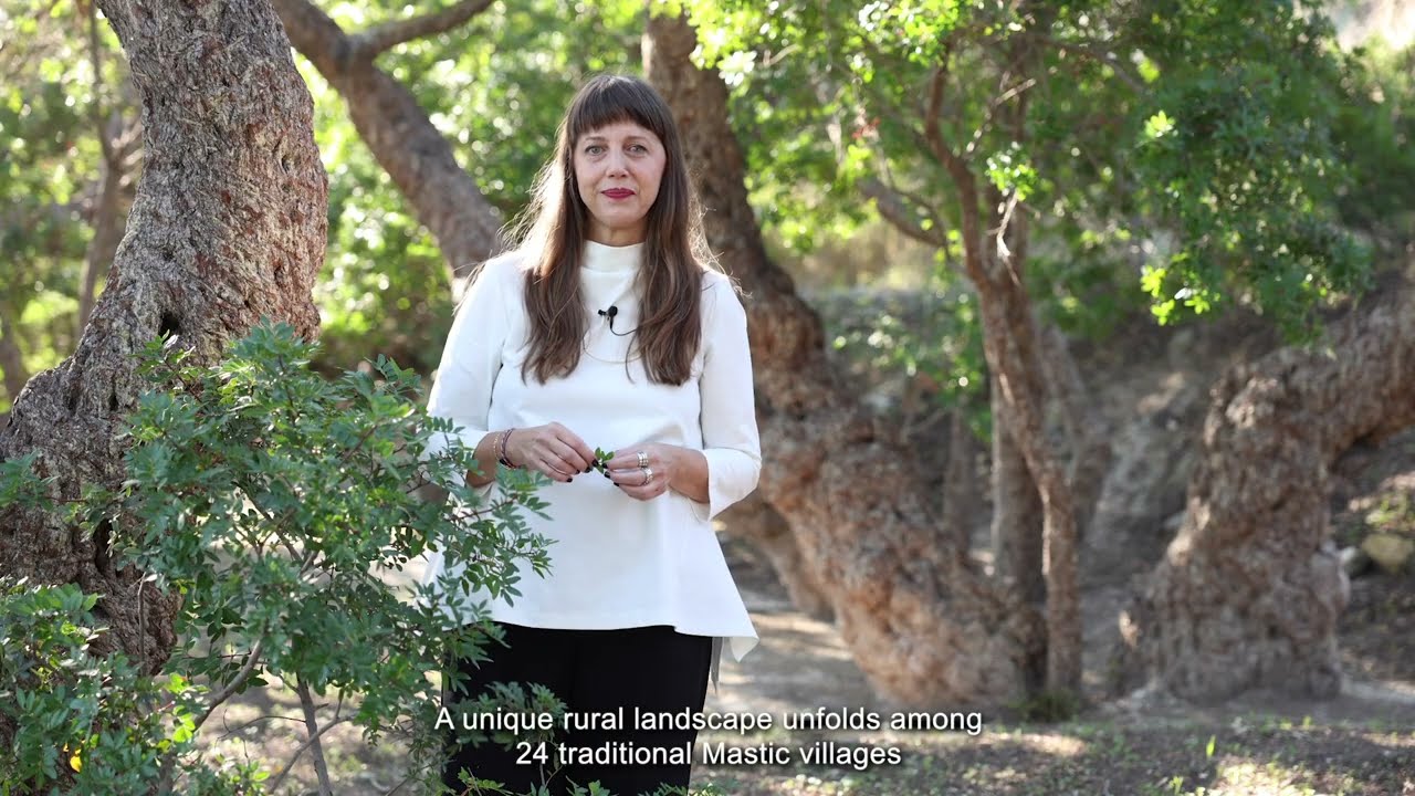 The unique mastiha producing rural landscape of southern Chios and its value