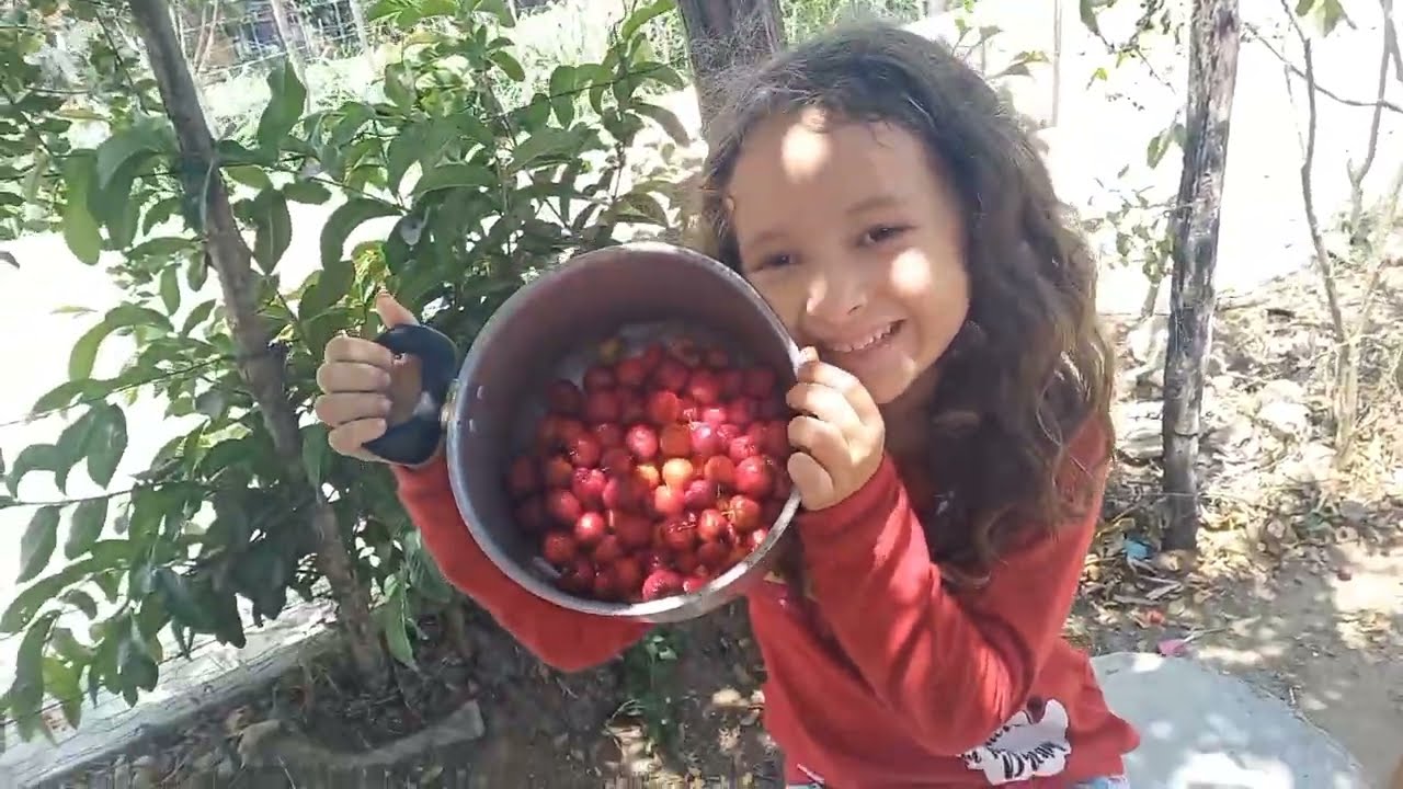 Colhendo acerolas para fazer um delicioso Suco 😍😋