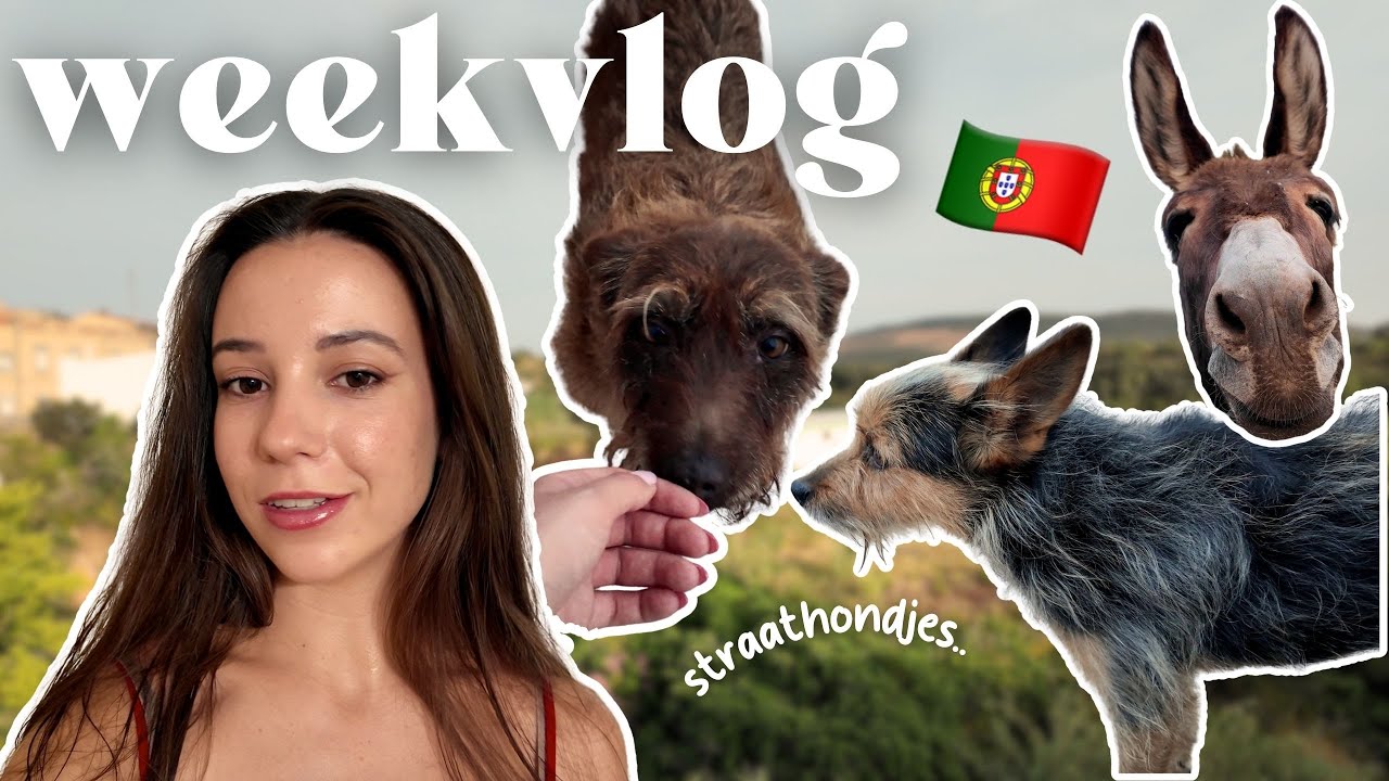 Weekvlog - Studeren, bedrijf opstarten, updates, op reis naar Portugal