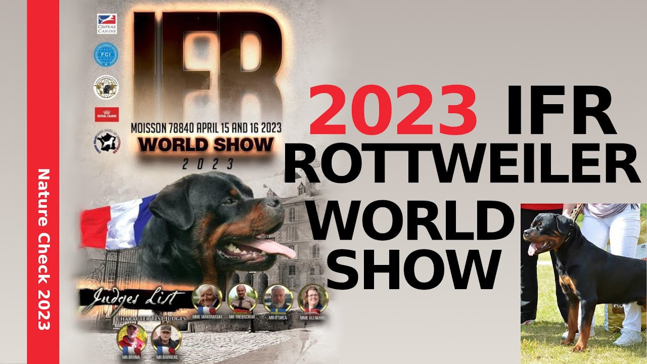 IFR Rottweiler World Winner 2023