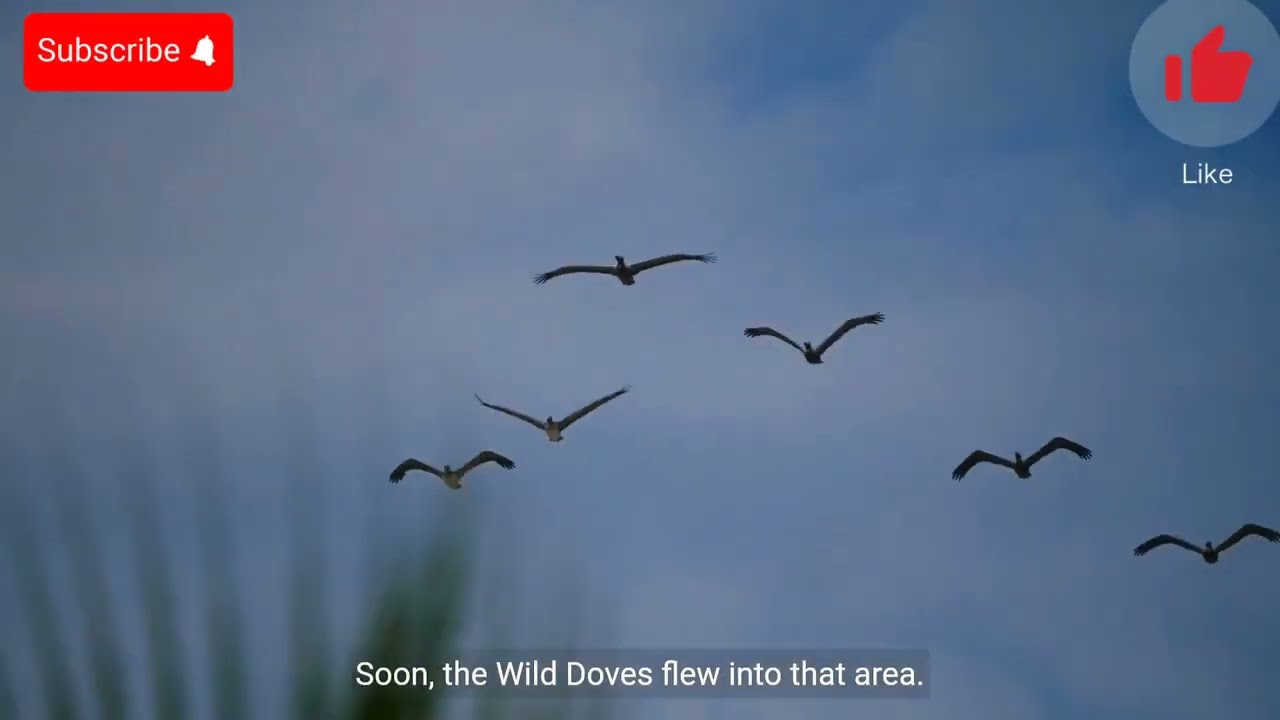 The Wild Doves - A Tale of Loyalty and Betrayal