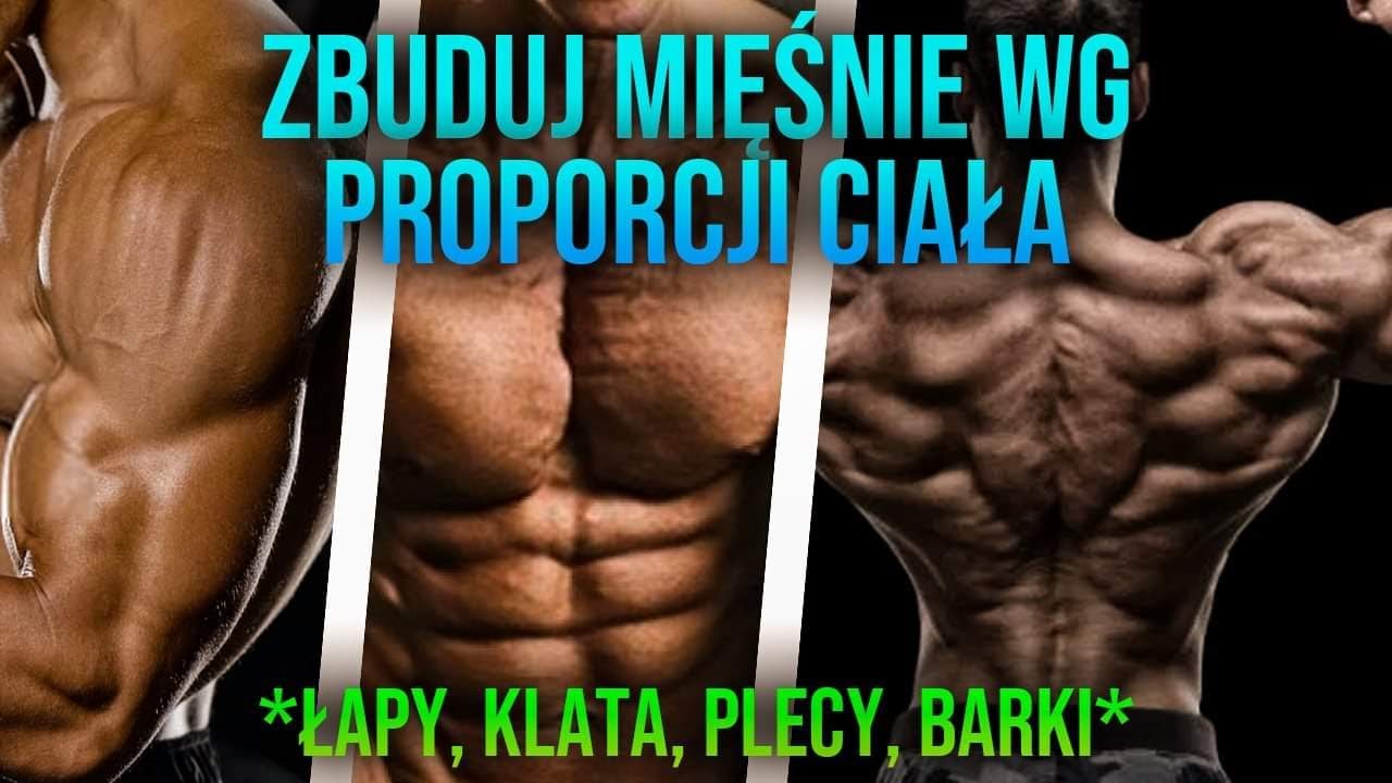 TRENUJ WG. WŁASNYCH PROPORCJI *klucz do wielkich mięśni!