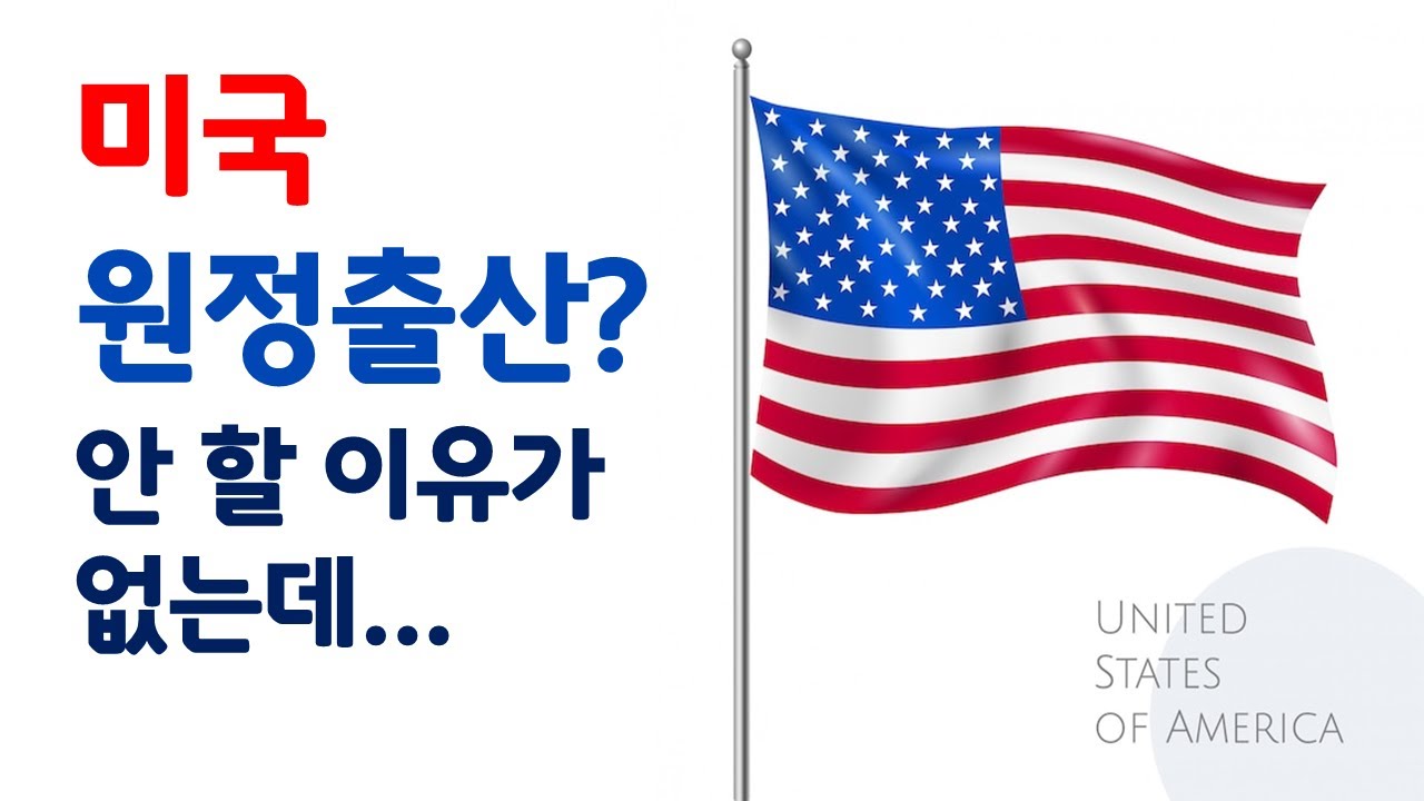 미국원정출산? 안 할 이유가 없는데? (개그우먼 안영미 논란)