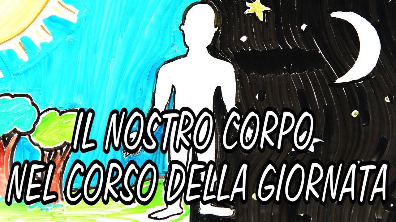 IL TUO CORPO IN 24 ORE