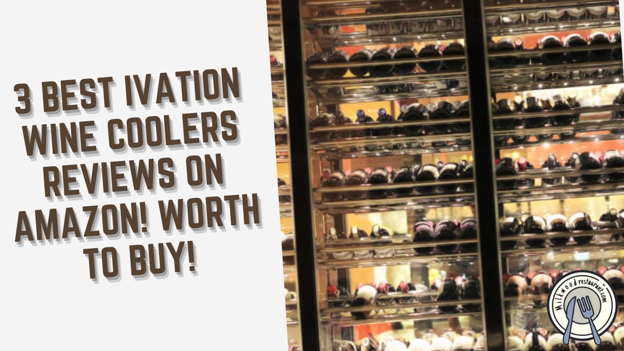 3 Best Ivation Wine Coolers Reviews on Amazon! Worth To Buy!