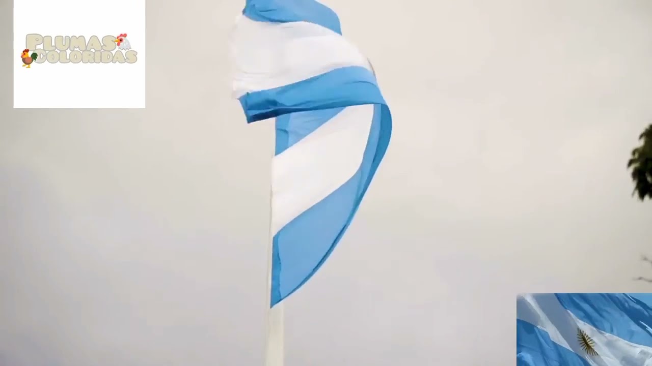 himno nacional argentino | El pais en el que nací ❤️🇦🇷
