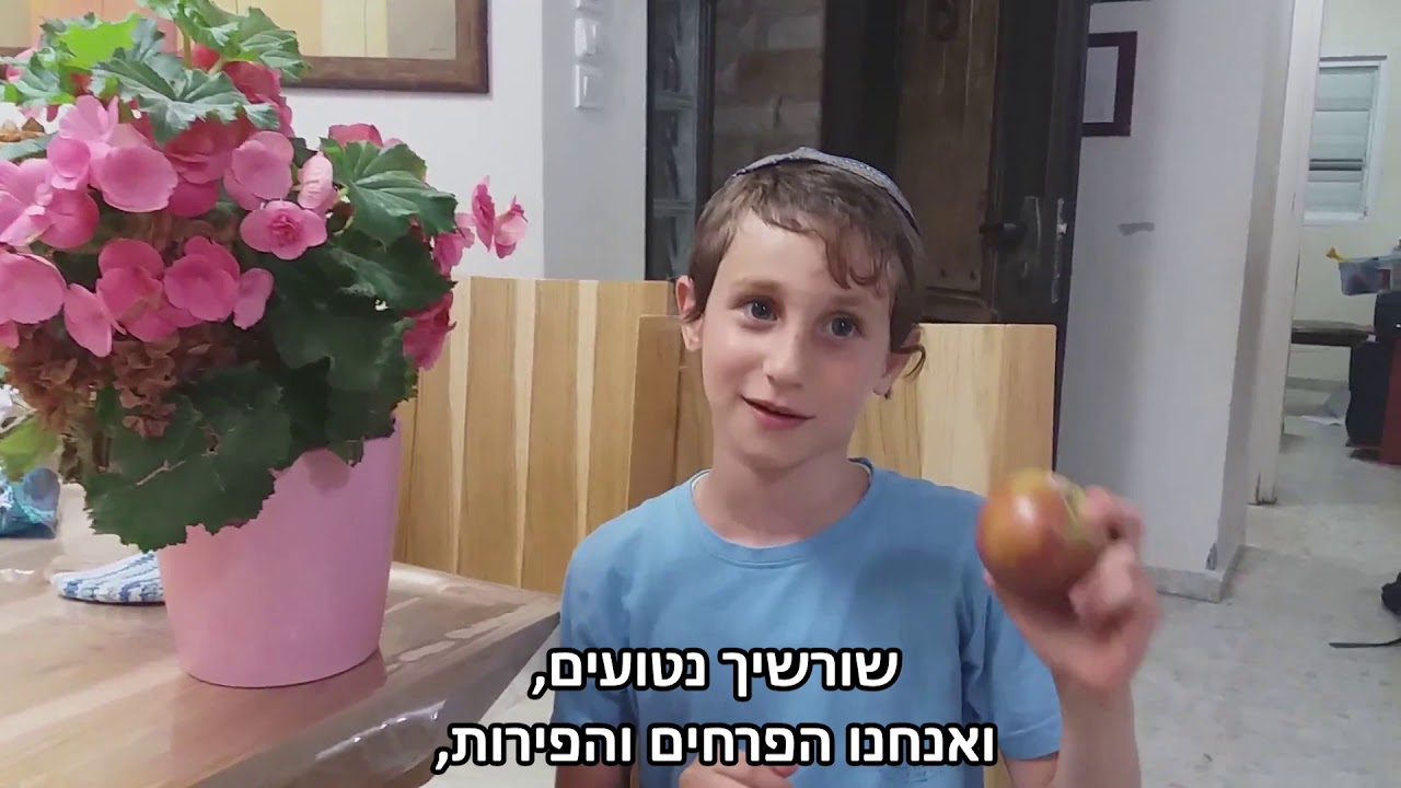 שבט אחים ואחיות של משפחת גרינבאום