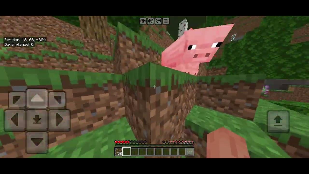 Day 17 || Speedrunning Minecraft Every Day Until I Beat It In Under 1 Hour...