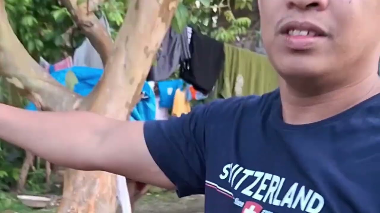 Brgy.Balbagan Paranas Catbalogan Samar