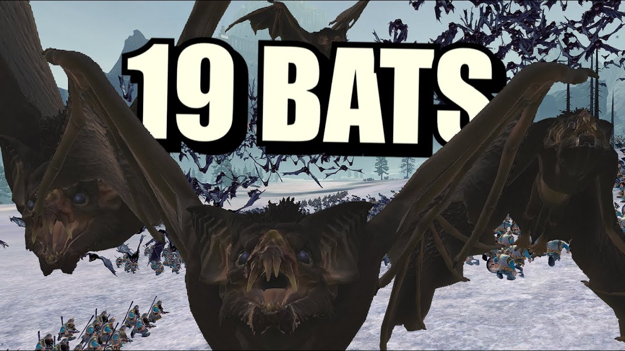 19 Bats