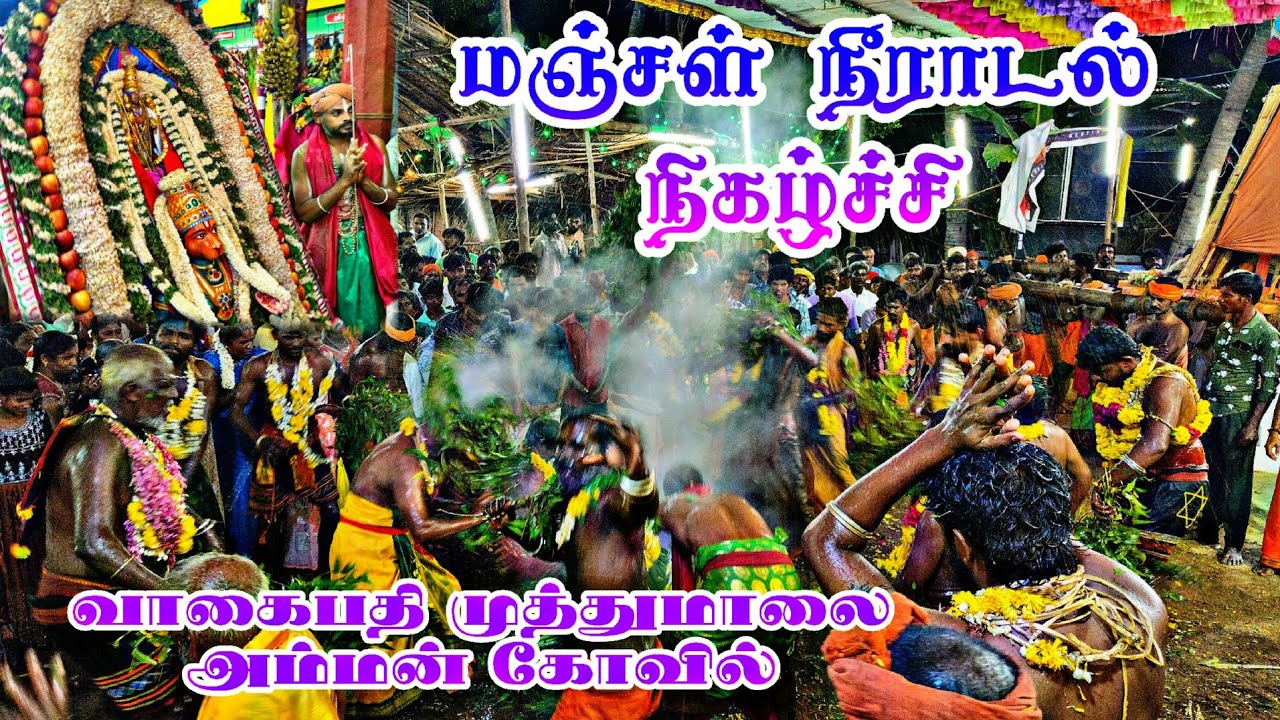 #மஞ்சள்_நீராடல் #நிகழ்ச்சி #முத்துமாலைஅம்மன் #vagaipathi #மஞ்சள் #நீராடல் #விழா 