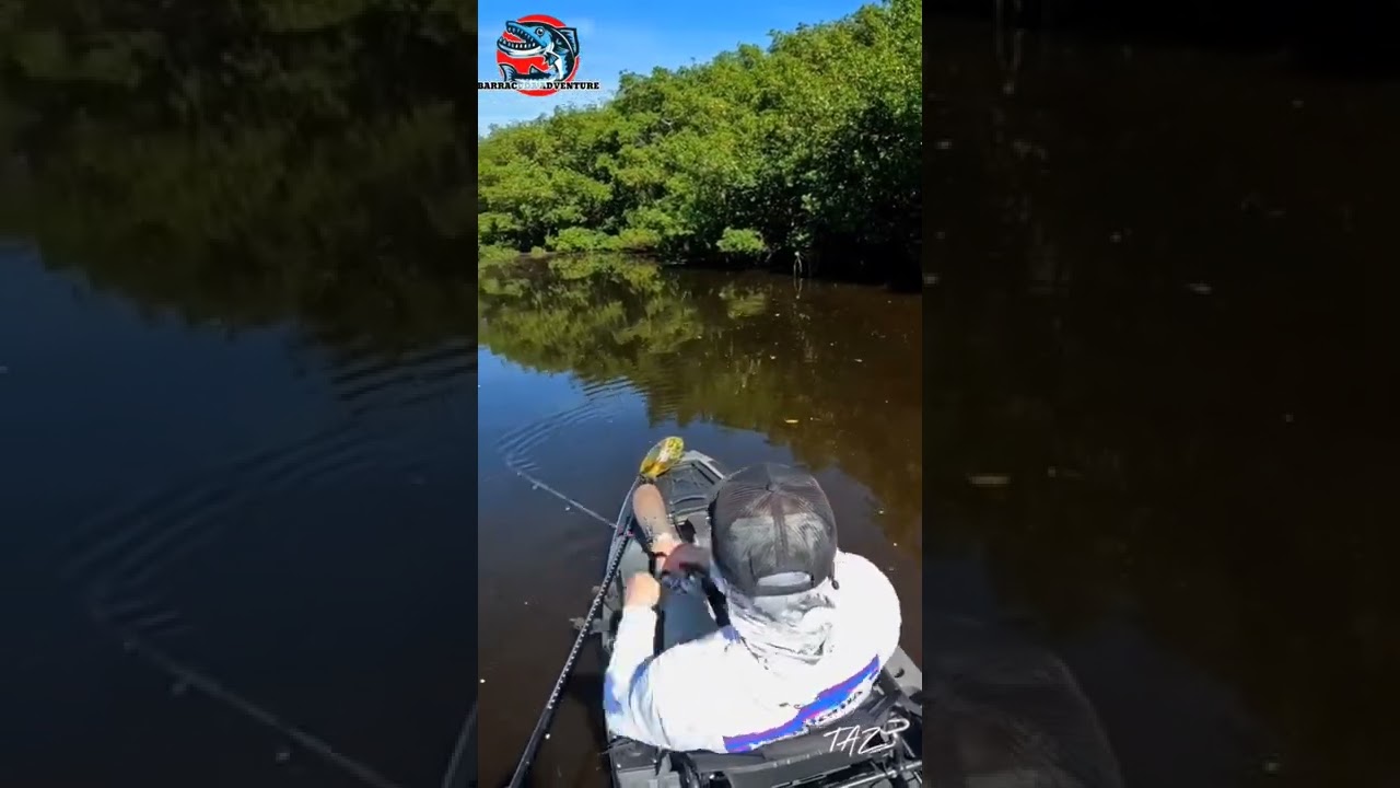 Mancing Casting Ikan Barramundi #shorts #fyp