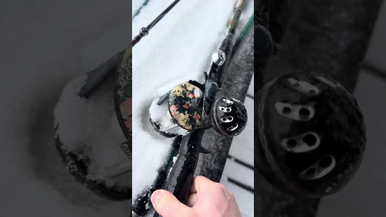 Trying To Catch Giant Catfish In Freezing Conditions