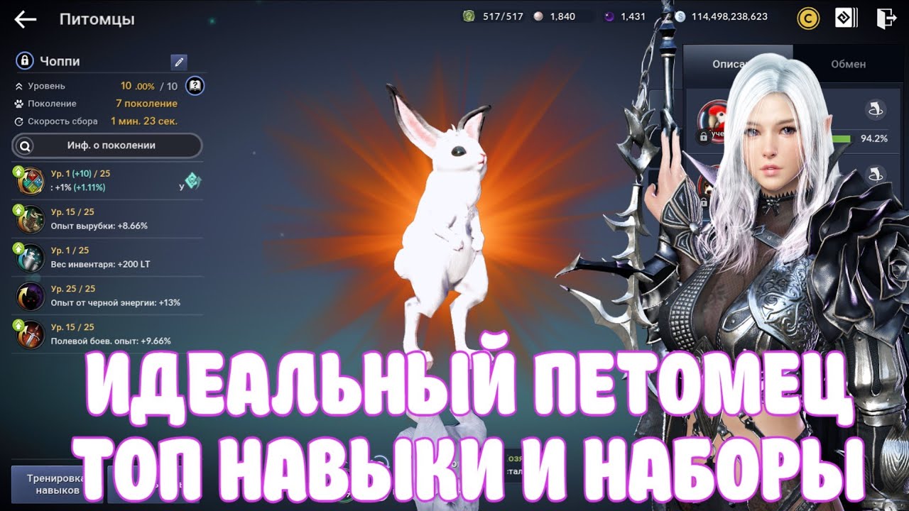 ТОП ПИТОМЦЫ И ИХ НАВЫКИ / МОИ КОЛЛЕКЦИИ ПЕТОВ / BLACK DESERT MOBILE