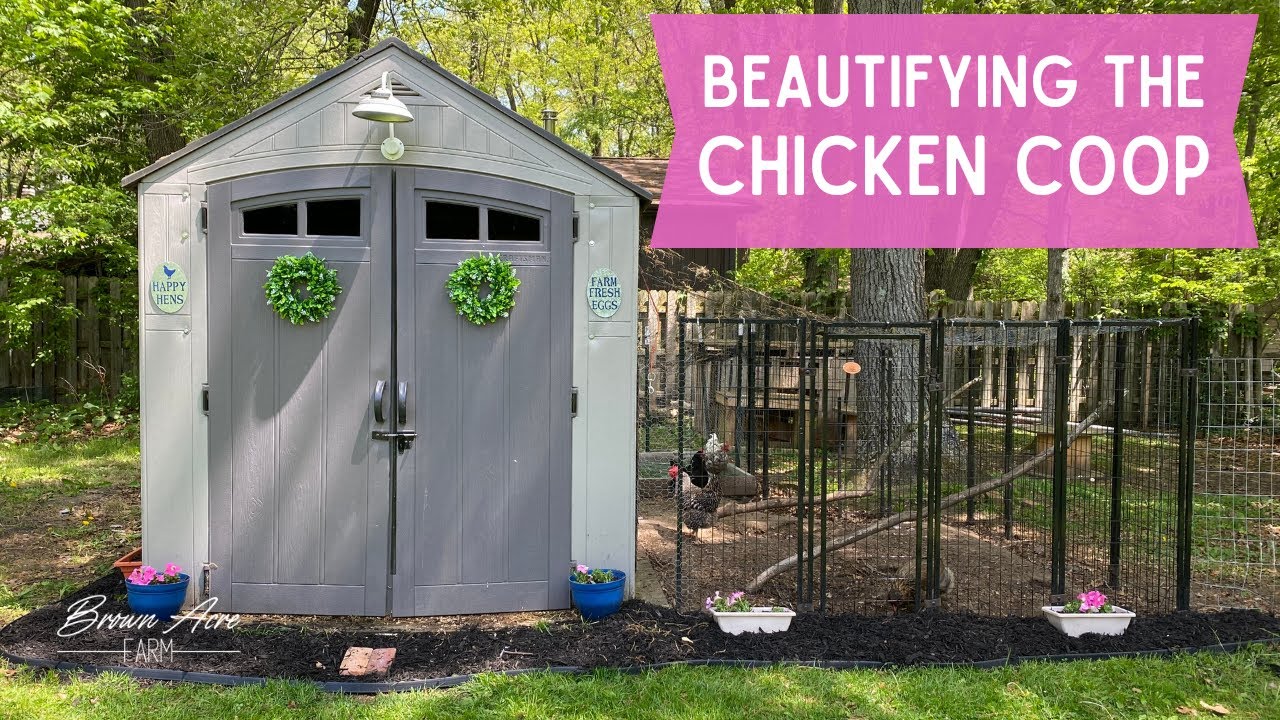 BEAUTIFYING THE CHICKEN COOP | Budget conscious ways to make a chicken coop pretty