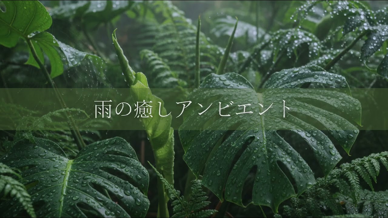 雨音とピアノ：集中力を高める癒やしのアンビエント｜作業用・勉強用・睡眠用BGM