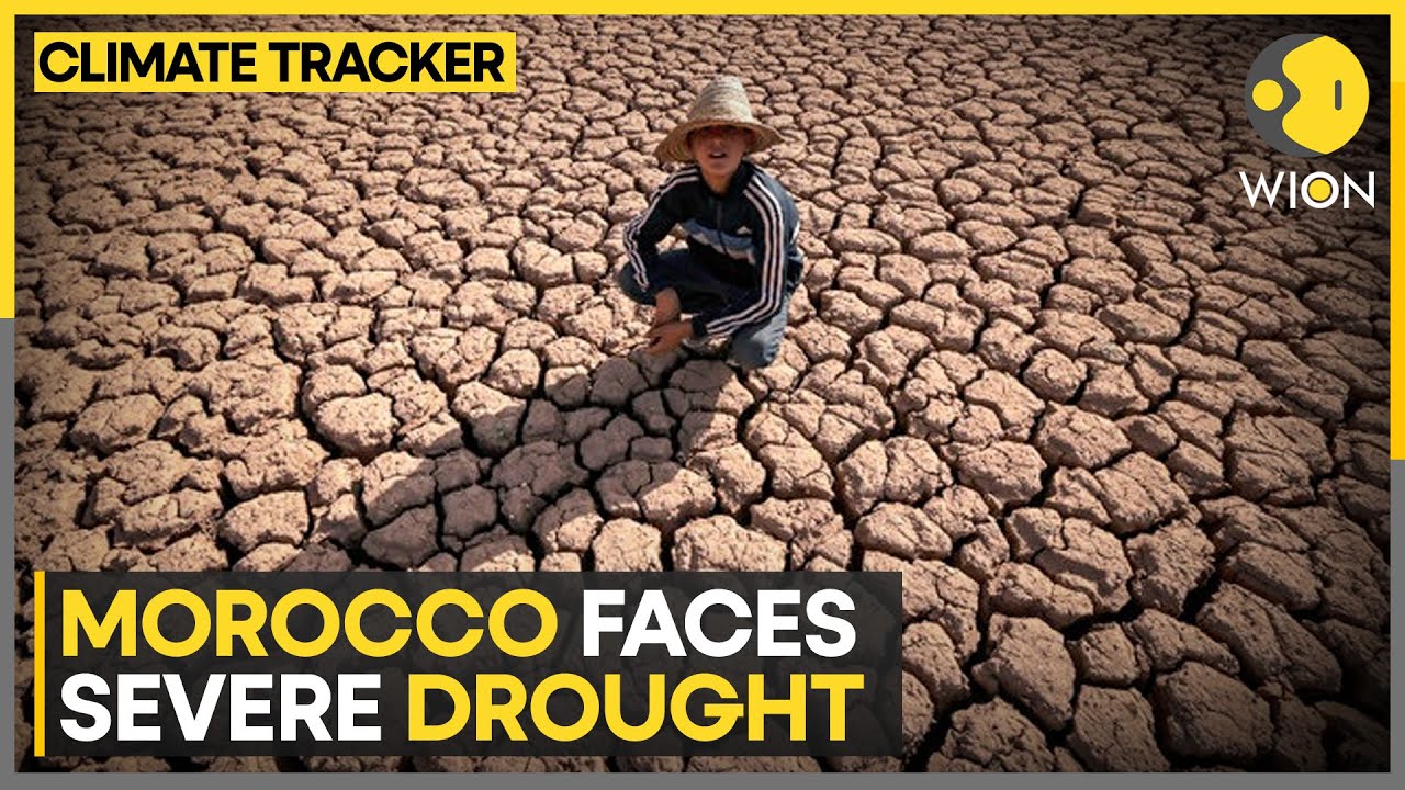 Morocco grapples with its sixth consecutive year of drought | WION Climate Tracker
