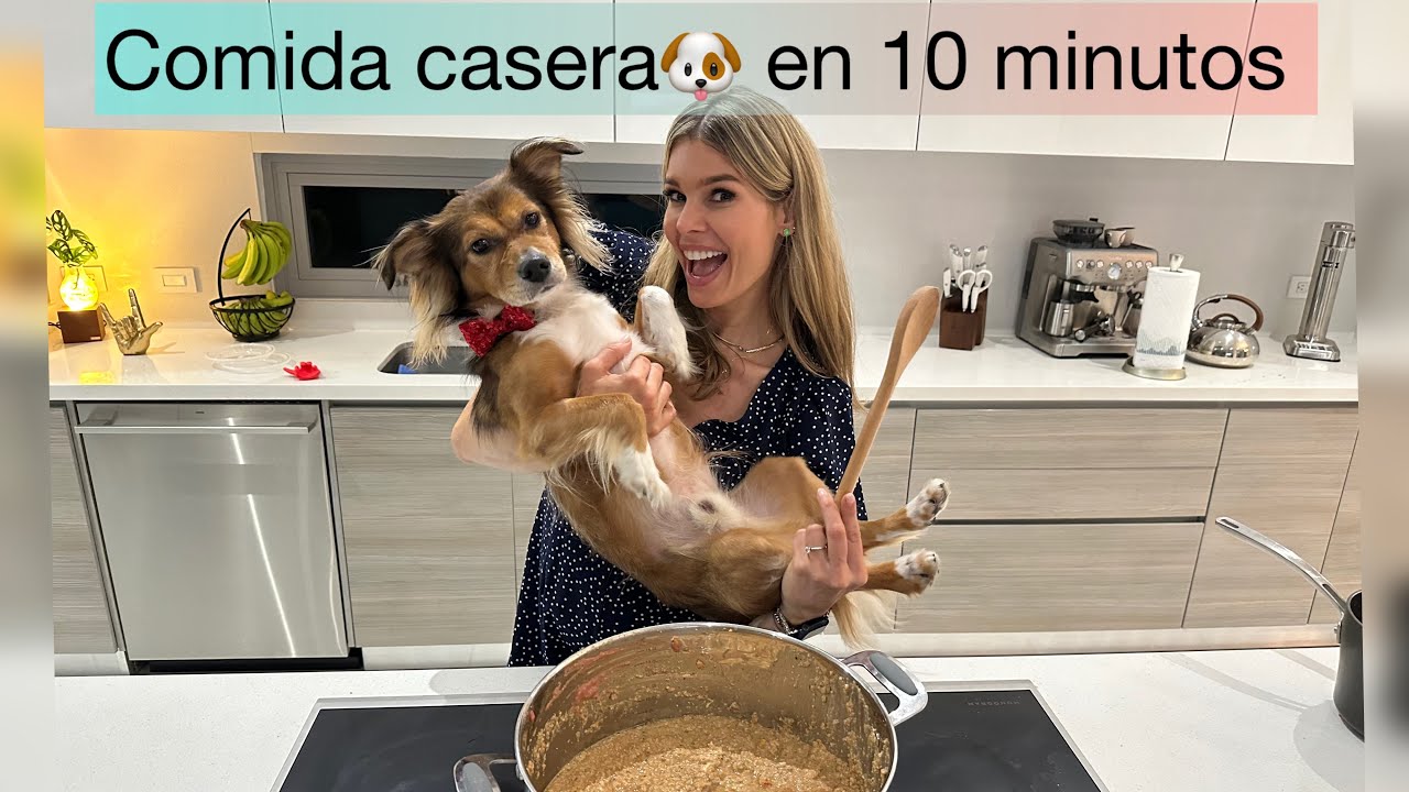 Comida casera para perros en 10 minutos/ Receta de Firu 🐶 🥘