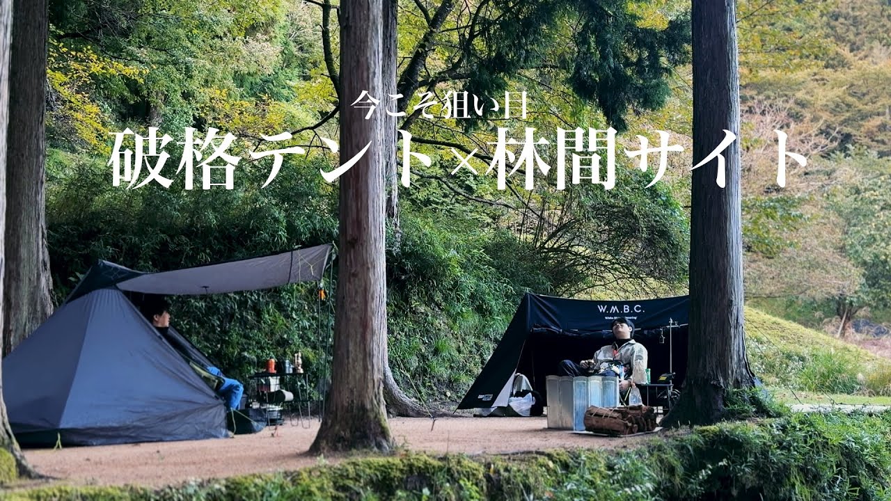 【ブームが去った今】破格のテントと静かな森の温泉キャンプ