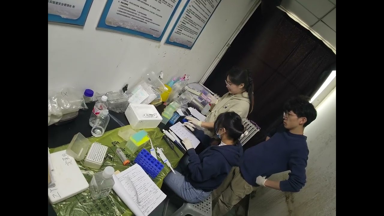 VID 20260126142007037 18