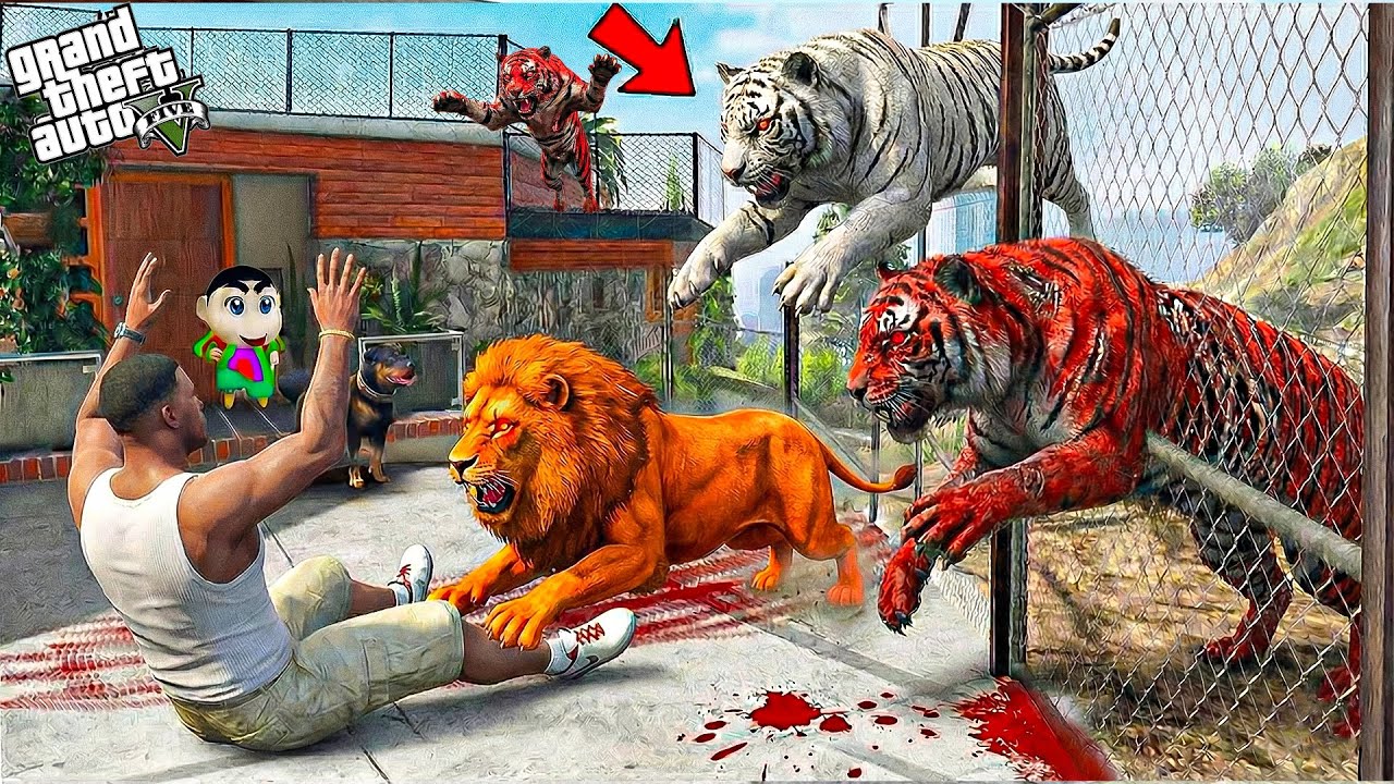 Franklin & Shinchan Chased by Hungry Red Tigers in Los Santos! 🐯😱 | GTA 5