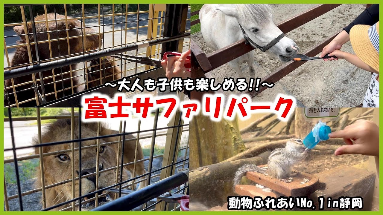 【富士サファリパーク】動物ふれあいNo 1in静岡～家族みんなで楽しめる！！～