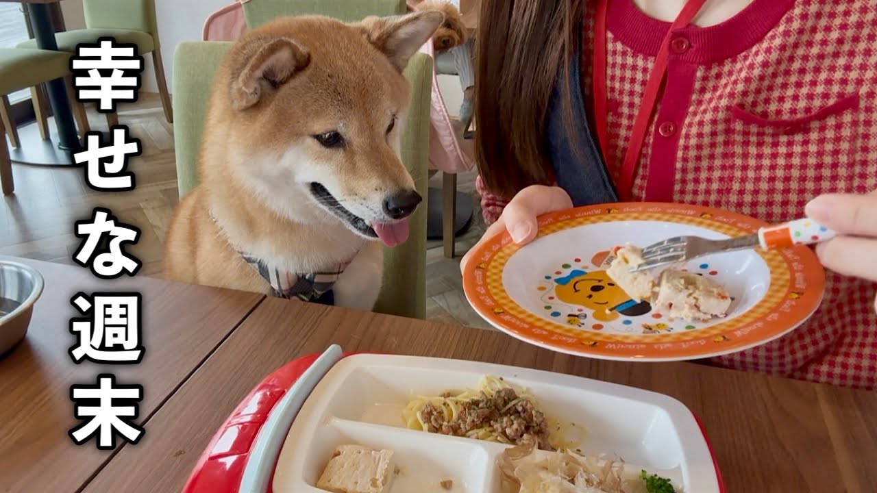 【ふたり暮らし】愛犬の好きな場所に行って幸せな週末を過ごす