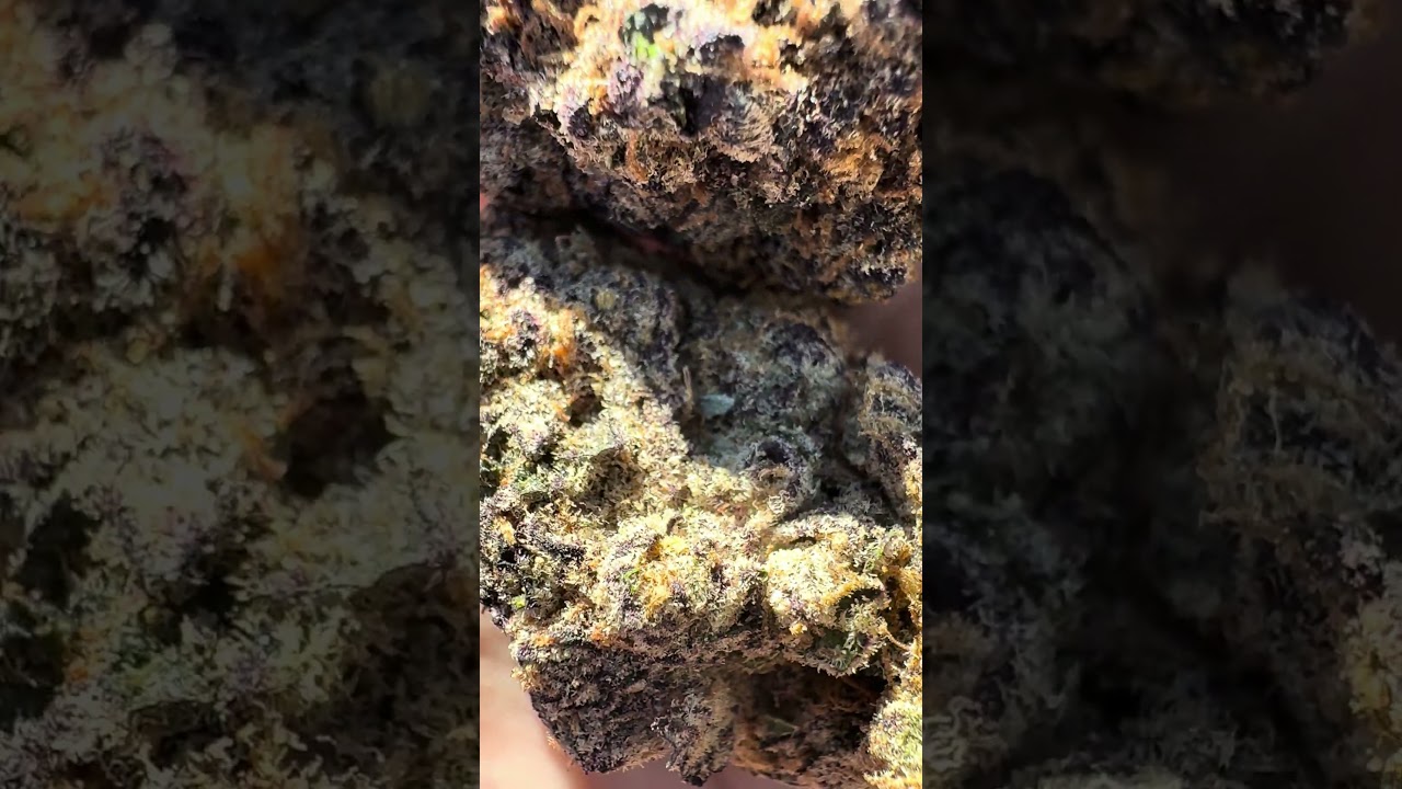 Blueberry Pancakes! Exotic THCA Flower available at Curedhempncbd.com! #thcareview #exotic
