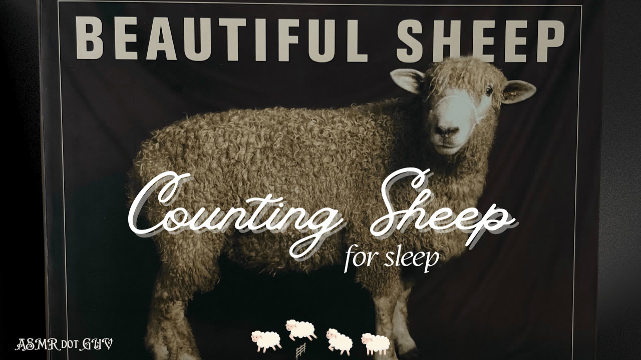 Counting Sheep ASMR 🐑 | Soft Spoken to Whispered Reading for Sleep