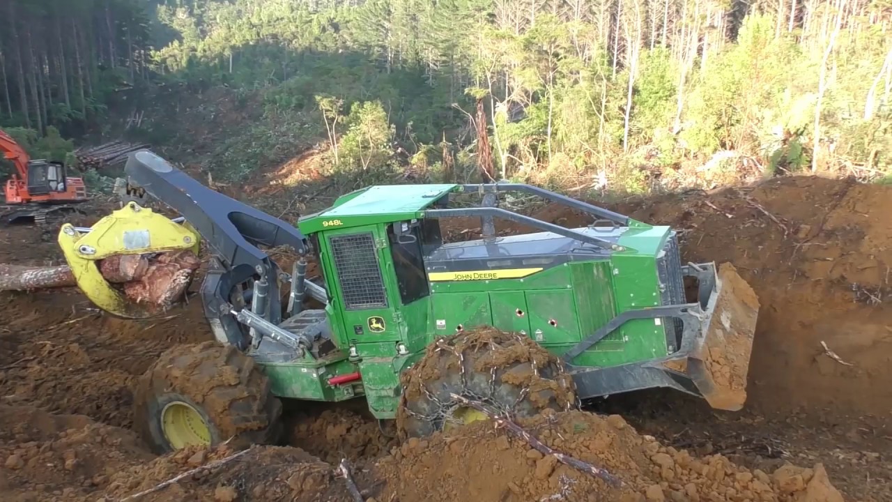 🌲🌲🌲 Best OF Logging 2019 🌲🌲🌲 Compilation