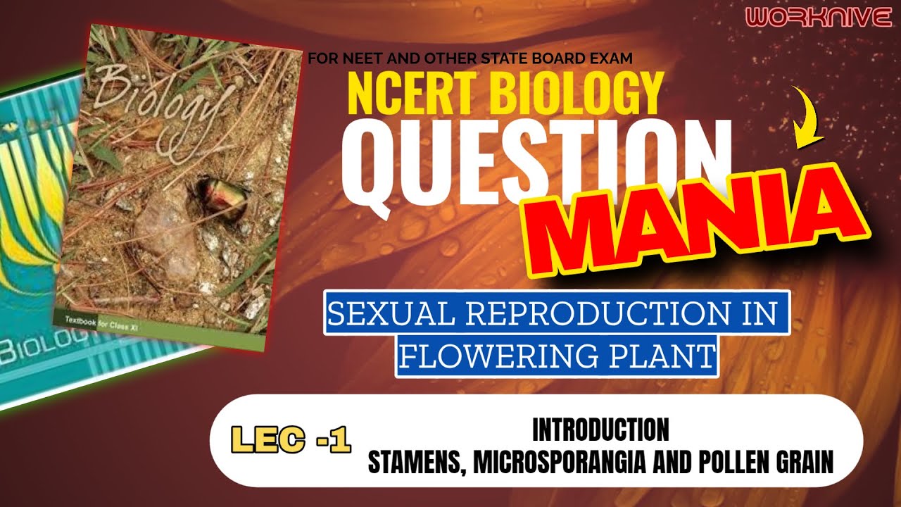 SEXUAL REPRODUCTION I LEC 1 INTRODUCTION ,STAMEN,  MICROSPORANGIA I CLASS 12 I NEET2026