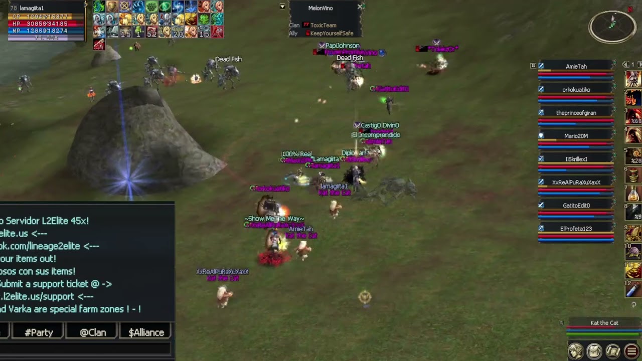 Lineage 2 Elite x45 C4 *Clan ChaosHumanity PvP New Zone FARM*