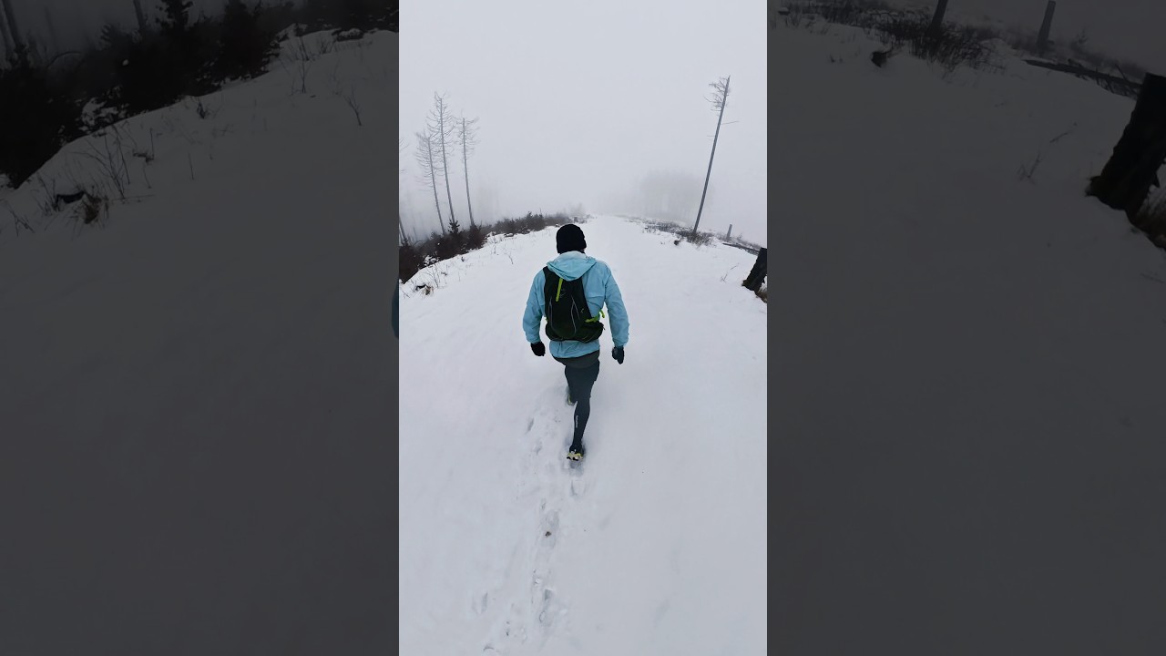 Trailrun im Nationlpark Harz #trailrunharz #hansk&uuml;hnenburg #Gro&szlig;erKnollen #nationalparkharz