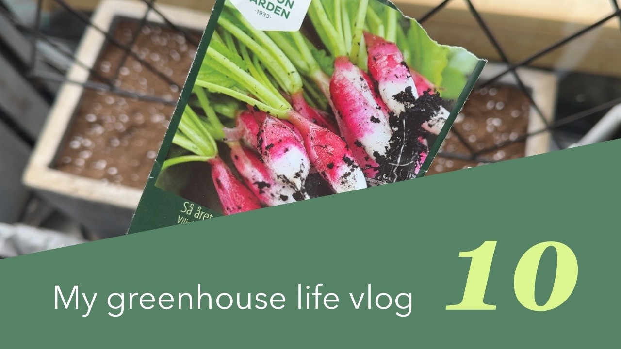 GreenhouseVlog week10 | Early Spring in the Greenhouse | When the Season Starts Moving