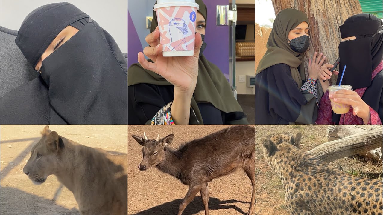 زرت حديقه الحيوانات بالرياض🦌🦦zirat hadiquh alhayawan🤍