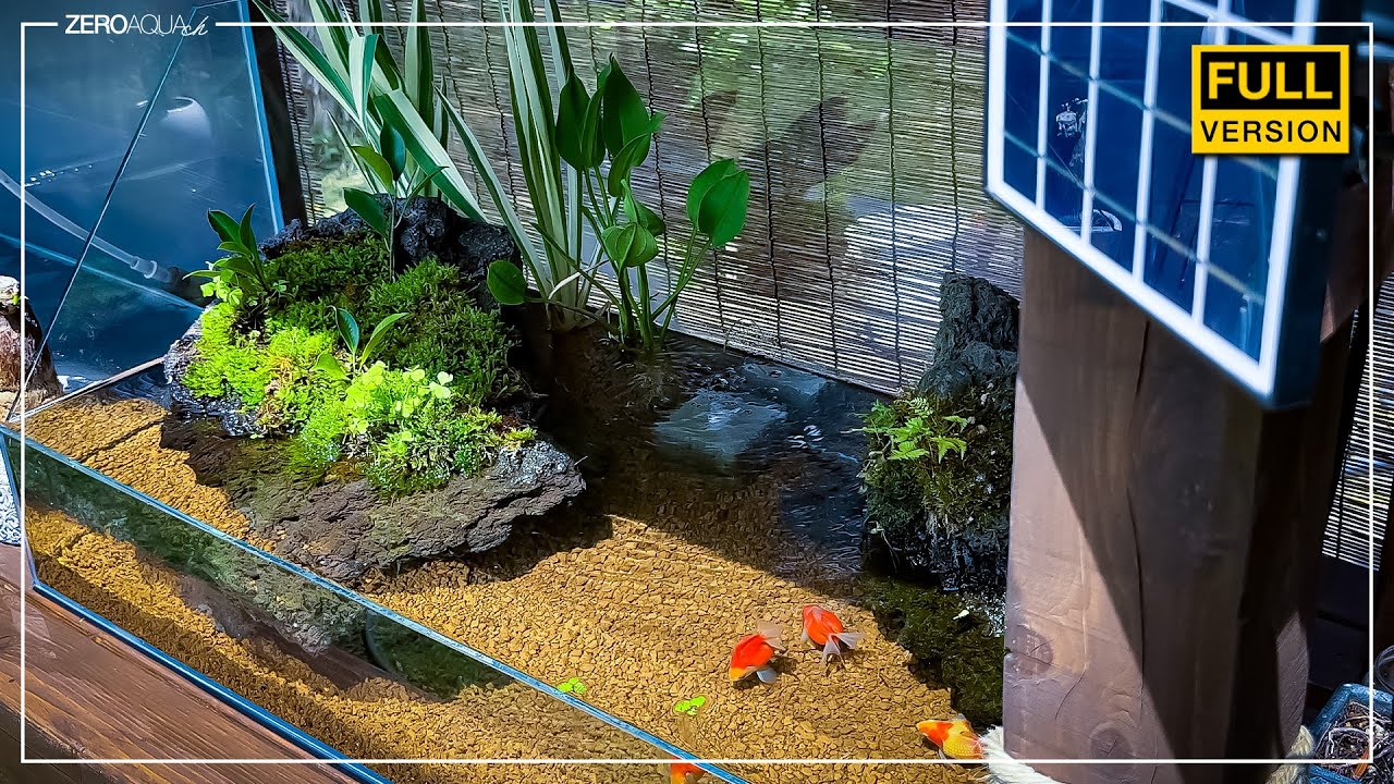 【90cm金魚水槽】立ち上げから完成まで/aquarium/aquascape/90cm/vlog/