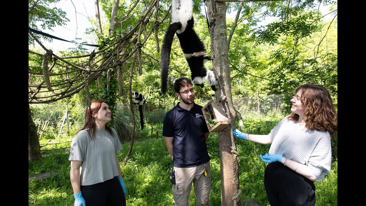 Animal Experiences at Bristol Zoo Project