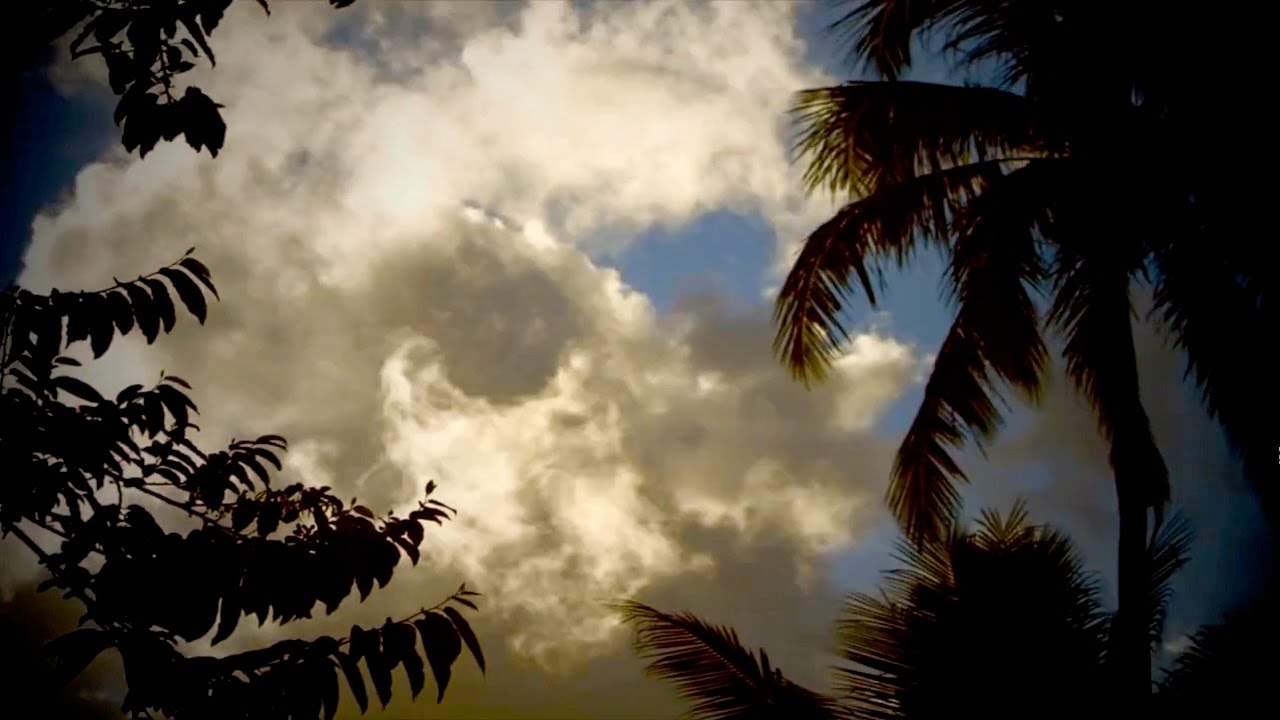LOS NATAS - PARADISE