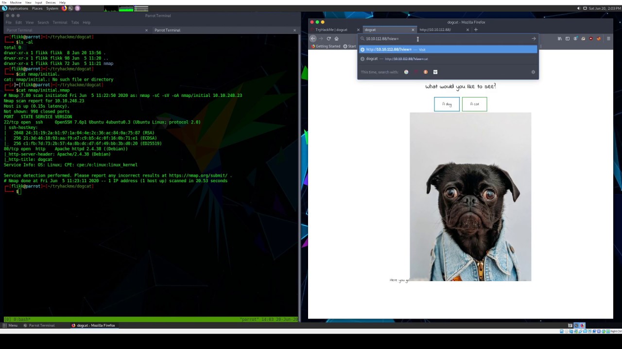 TryHackMe - dogcat
