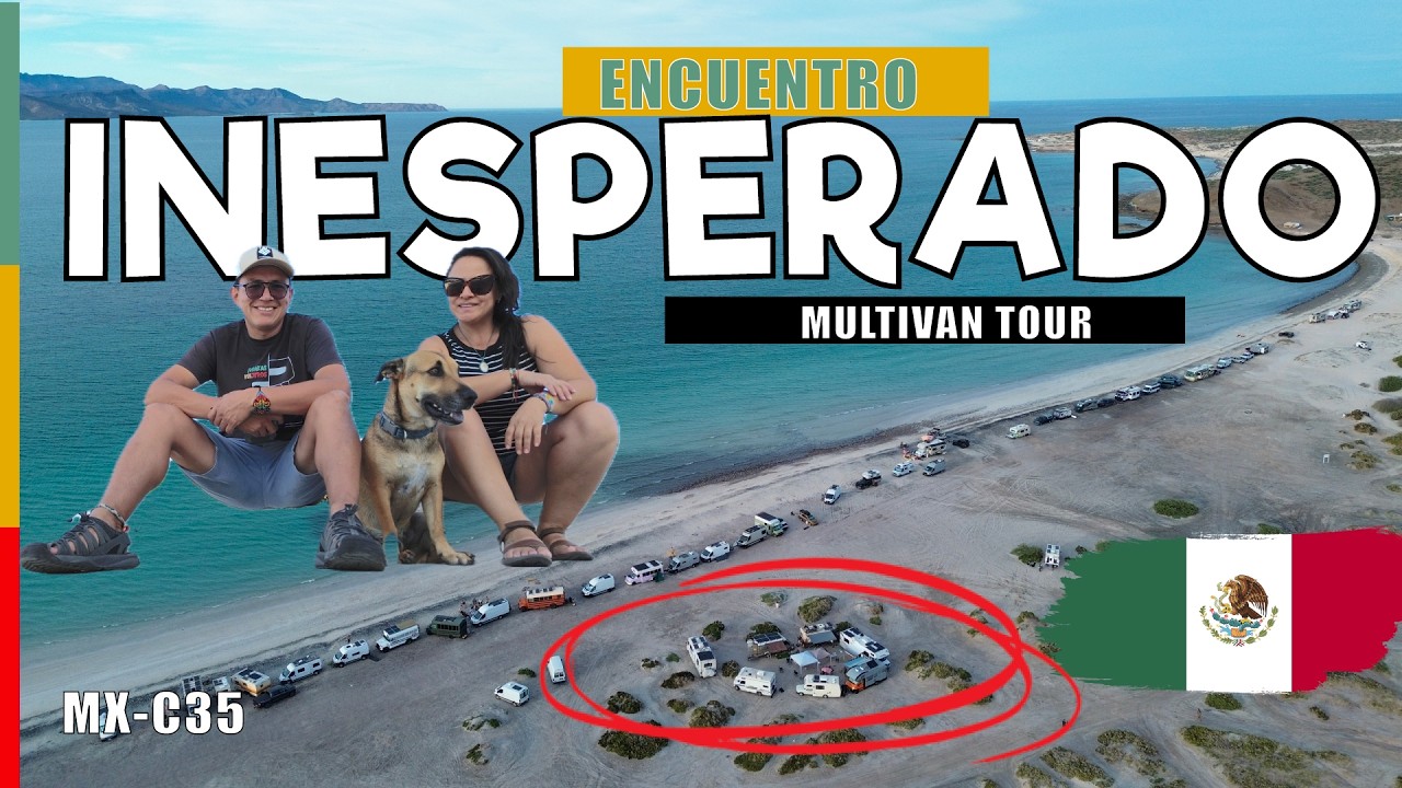 🚐  Tecolote BAJA CALIFORNIA SUR nos regaló un encuentro inesperado entre viajeros | VIAJEROS CAMPER